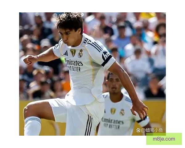 一个阿隆索离开又一个阿隆索归来皇马布局耐人寻味背后深意何在两字啊